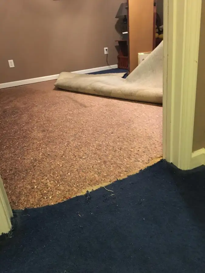 Carpet pad removal revealing water damage during Drying & Dehumidification in Malone